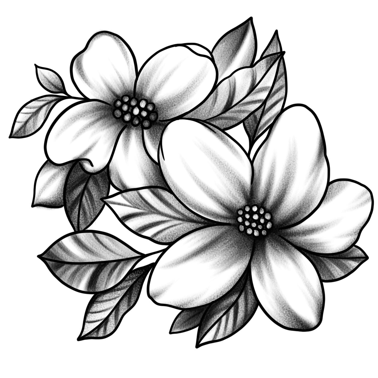 Elegant Dogwood Blossom Blackwork (6 Pack) | 3.15 in × 3.15 in.