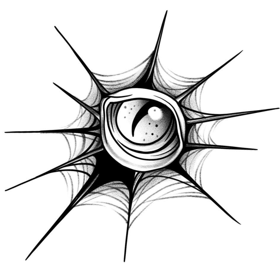 Web of Awareness (8 Pack)