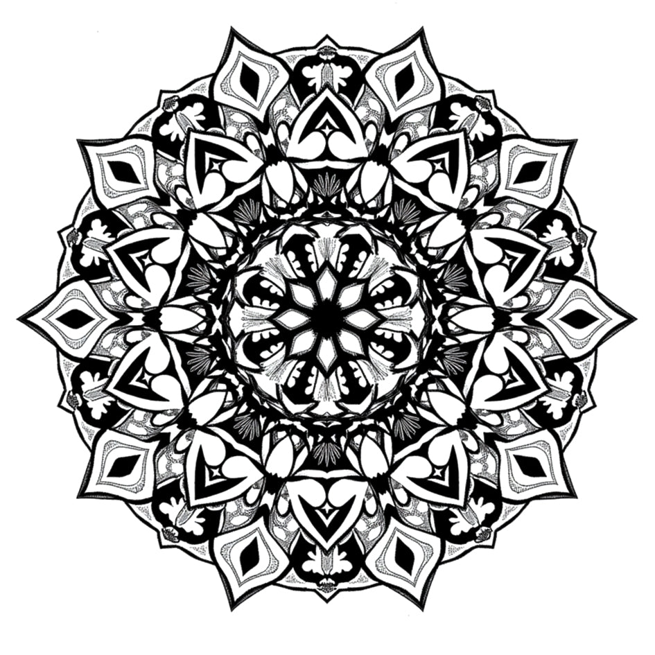 Mandala II (6 Pack) |  3.15 in Ã— 3.15