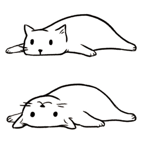 Lazy Cat Duo